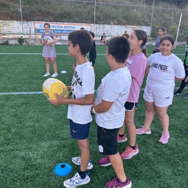 sd 17